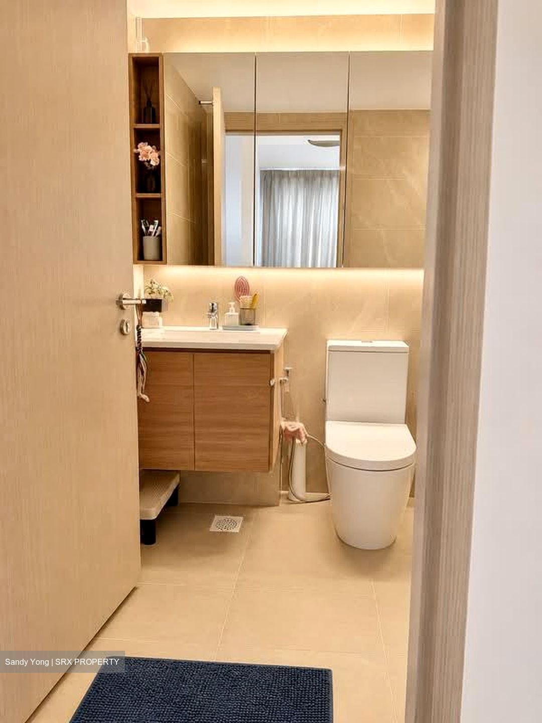 Treasure at Tampines (D18), Condominium #562243351